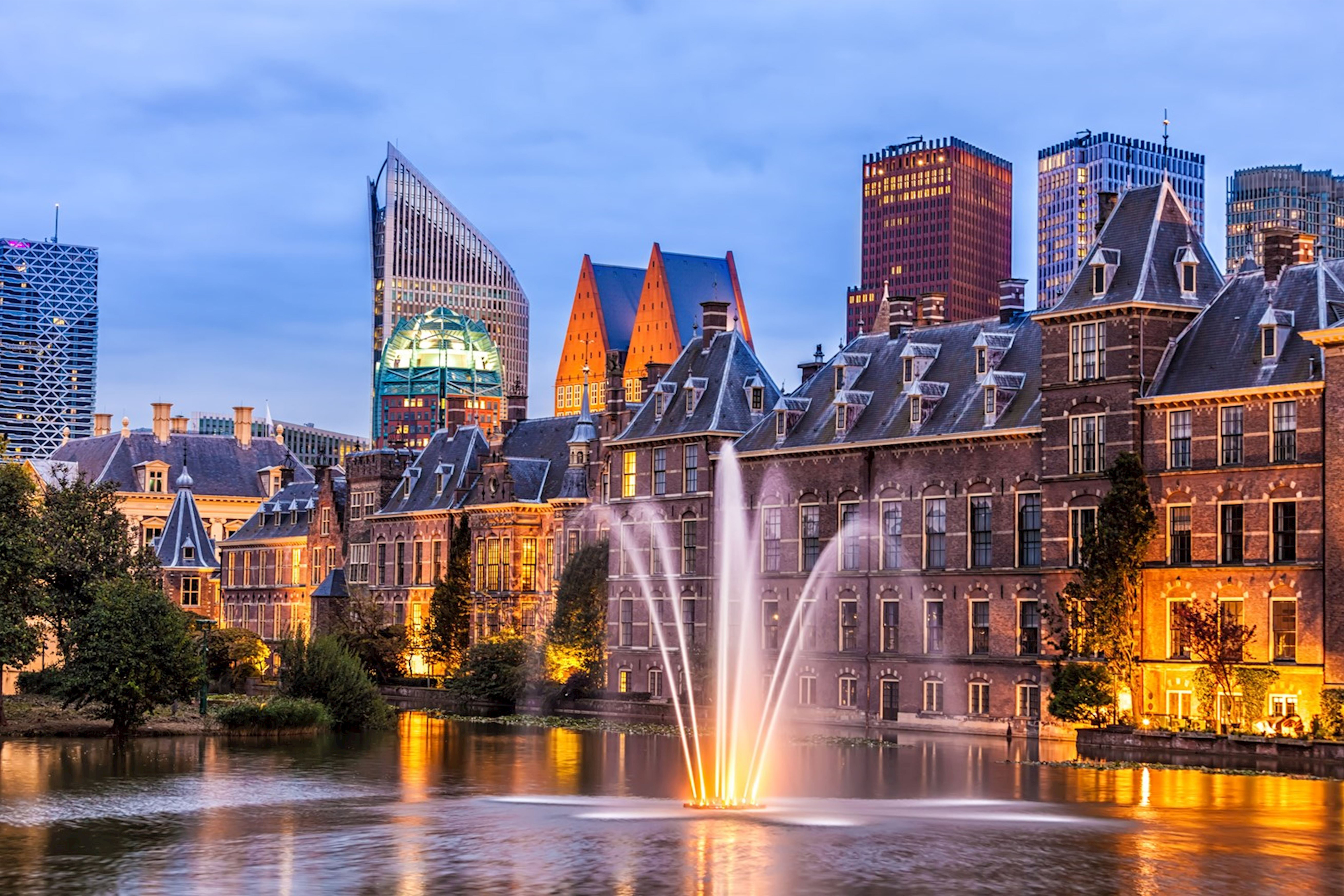 Astrologer in The Hague